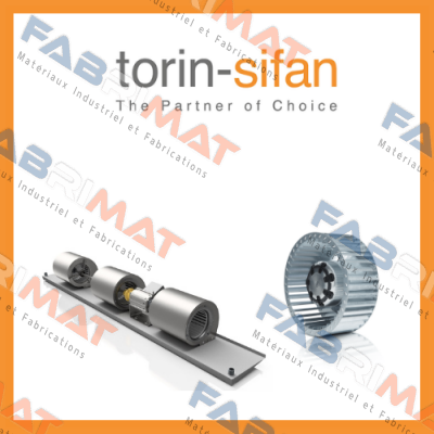 Torin-Sifan