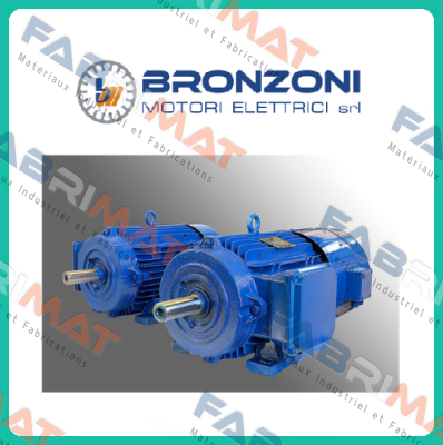 437Q1063B1100  Bronzoni