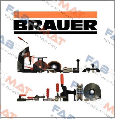 05887-08065 Brauer