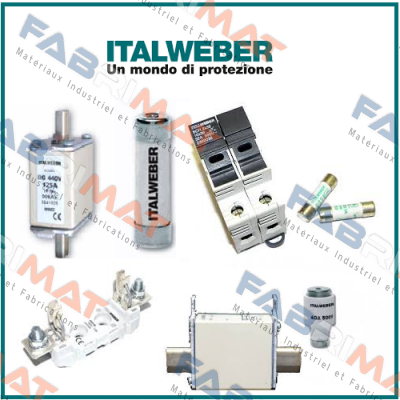 0101251  Italweber