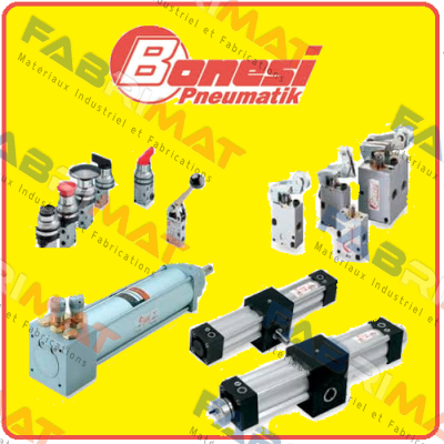 CUD 0200020A  Bonesi Pneumatic