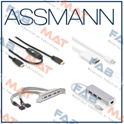 DN-80100  Assmann