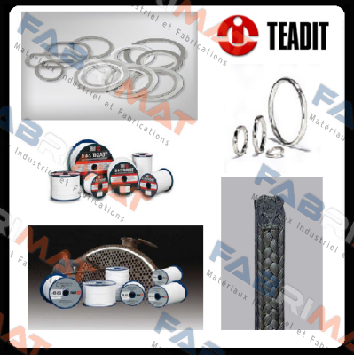 24SH DN100 PN10/16  Teadit