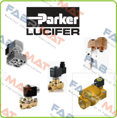 4810003DEZ 013D 110V COIL Lucifer (Parker)