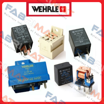 58 206 000    PA6.6-GF30 WEHRLE