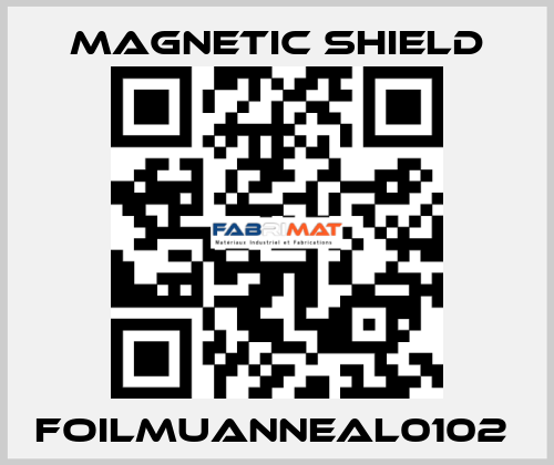 FOILMUANNEAL0102  Magnetic Shield