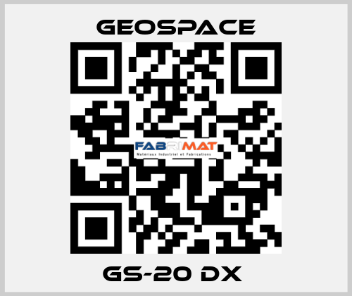 GS-20 DX  GeoSpace