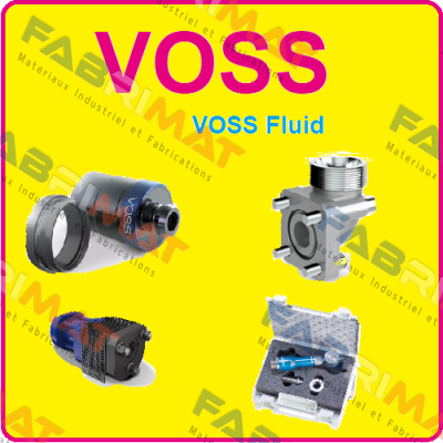 81981816236  Voss