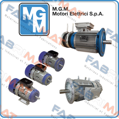 BA 100 LB4 (B3)  M.G.M MOTORI