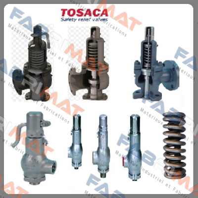 1216-1,25x1,25SS-40-M-00000-10,0L20  Tosaca