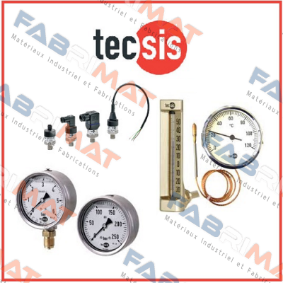 P1875B016001  Tecsis (WIKA Group)