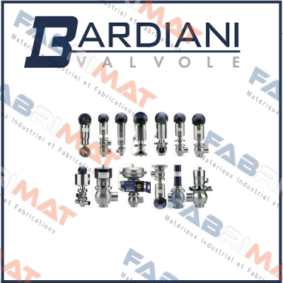 DN 50 ZP THREE-WAY VALVE MAINTENANCE KIT  Bardiani Valvole