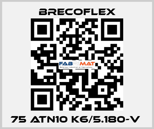 75 ATN10 K6/5.180-V  Brecoflex