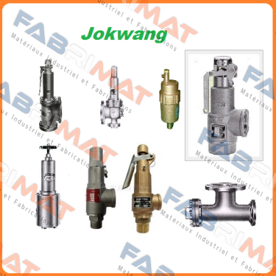 FF100-C-3/4"D1"-A11-212-CN2 8,5BARG  Jokwang