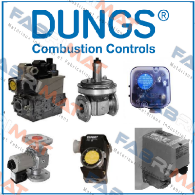 Flanges Rp 2”  Dungs