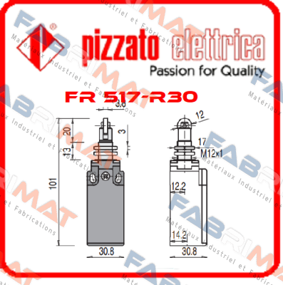 FR 517-R30 Pizzato Elettrica