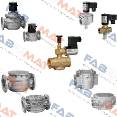 FRG/2MC DN 25 FLANGED VERSION  Madas