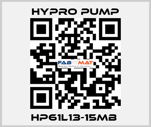 HP61L13-15MB  Hypro Pump