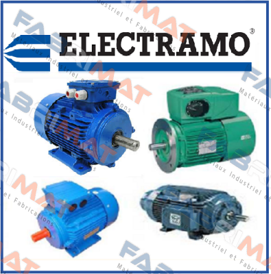 R015.00D10F40 Electramo