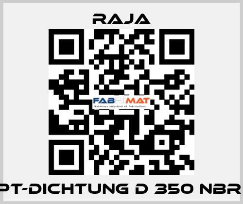 PT-Dichtung D 350 NBR  Raja