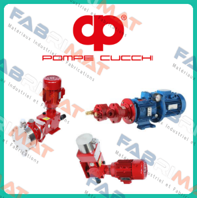 V0TCX06X00070  POMPE CUCCHI SRL