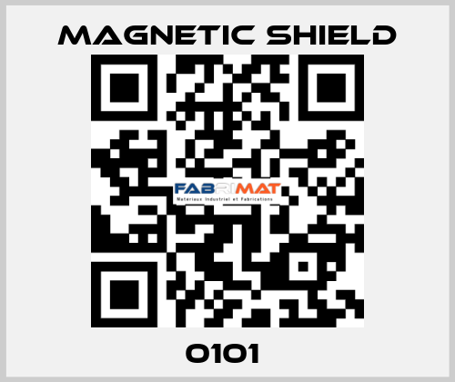 0101  Magnetic Shield