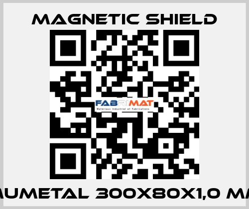 MuMETAL 300x80x1,0 mm Magnetic Shield