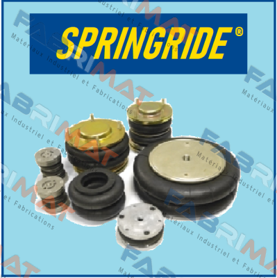 SP2917 Springride