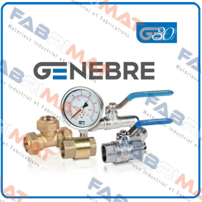 2940 08 (pack x2) Genebre