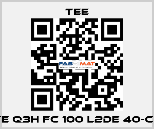 TE Q3H FC 100 L2DE 40-CF TEE