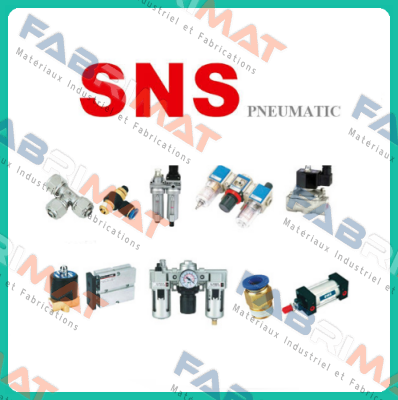 2W-025-08 SNS Pneumatic