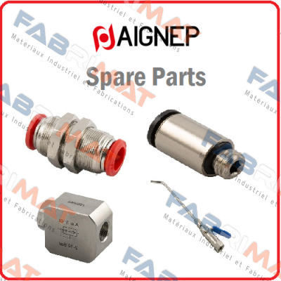 G1/4 - 3025-1/4R Aignep