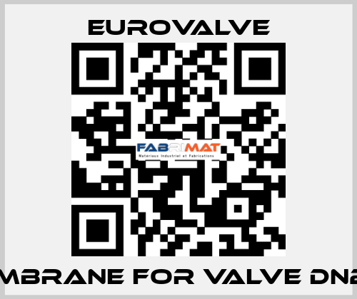 membrane for valve DN250 Eurovalve