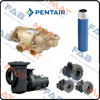 PN:255482-43 Type:ECP5-10 Pentek (Pentair)