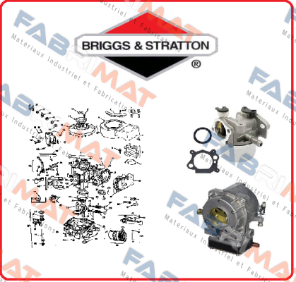 Standard Segments For 126492-0235-E1 Briggs-Stratton