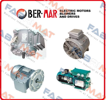 AF.80.S4*5P44 Ber-Mar Motors