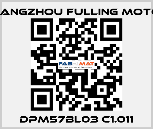 DPM57BL03 C1.011 Changzhou Fulling Motor