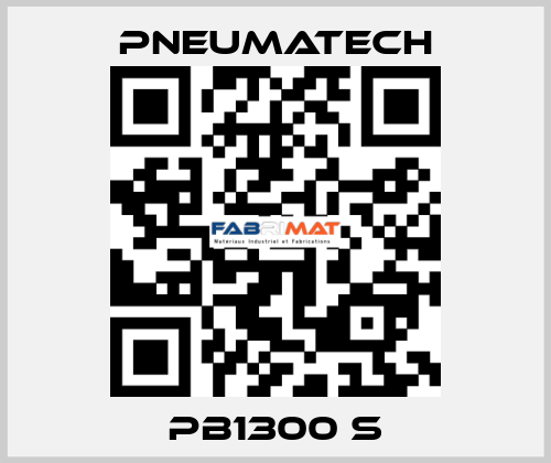 PB1300 S Pneumatech