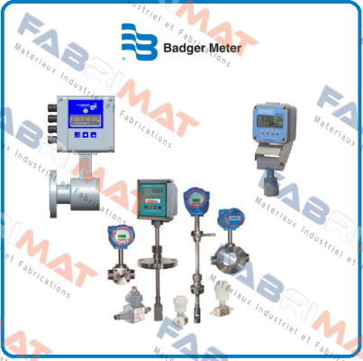 Typ M5000 M (2 D-Cells) Badger Meter