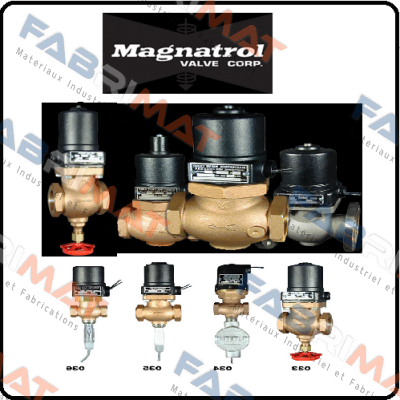 F129L53 / F899-MM24-28-56 Magnatrol