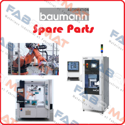 6110695 Baumann