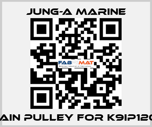 main pulley for K9IP120F JUNG-A MARINE