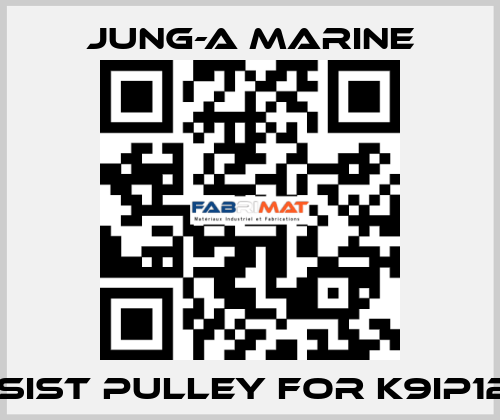 assist pulley for K9IP120F JUNG-A MARINE