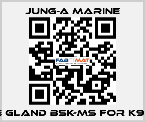 cable gland bsk-ms for K9IP120F JUNG-A MARINE