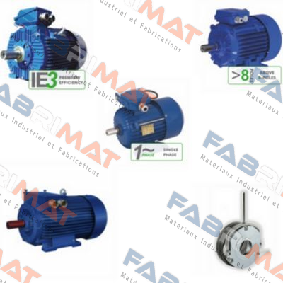 2SIE 200 L-4 old code, new code 3SIE200L-4 Cantoni