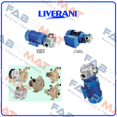 repair kit for pump 63412000 Liverani