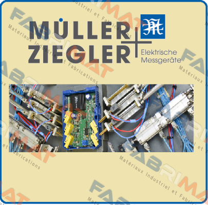 EM3490-3-110-5-SP-S Ziegler