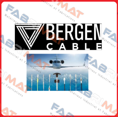 BCT-MPT-250C Bergen Cable Technology Llc