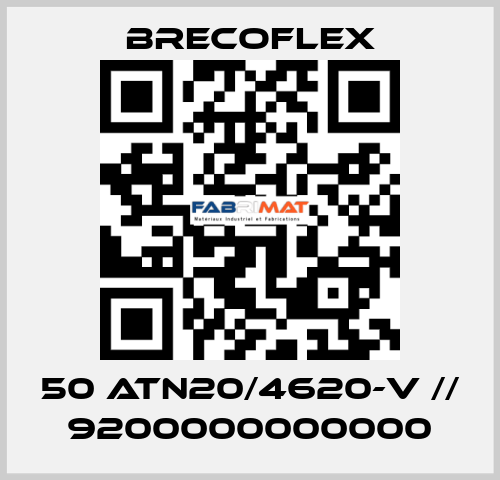 50 ATN20/4620-V // 9200000000000 Brecoflex