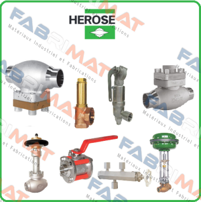 06510.3214.6000 - DN32 1.1/2"NPT PN50 Herose